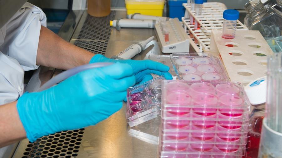 Genezingskans bij kanker stijgt tot recordniveau