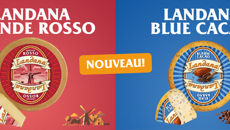 Landana, l'art de la fabrication de fromage hollandais