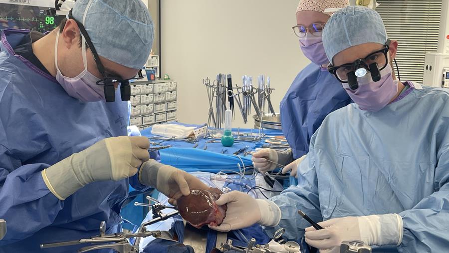 Première mondiale en transplantation hépatique aux Cliniques universitaires Saint-Luc