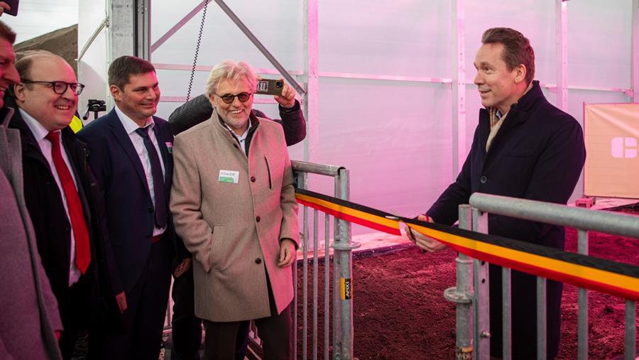 Bedrijven halen versneld PFAS uit de grond met hennep