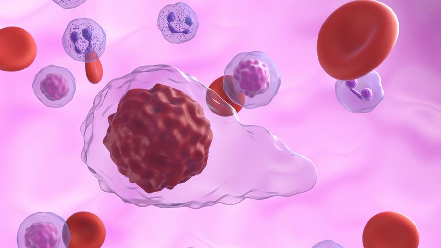 Innovation dans le traitement de l’anémie associée à la myélofibrose