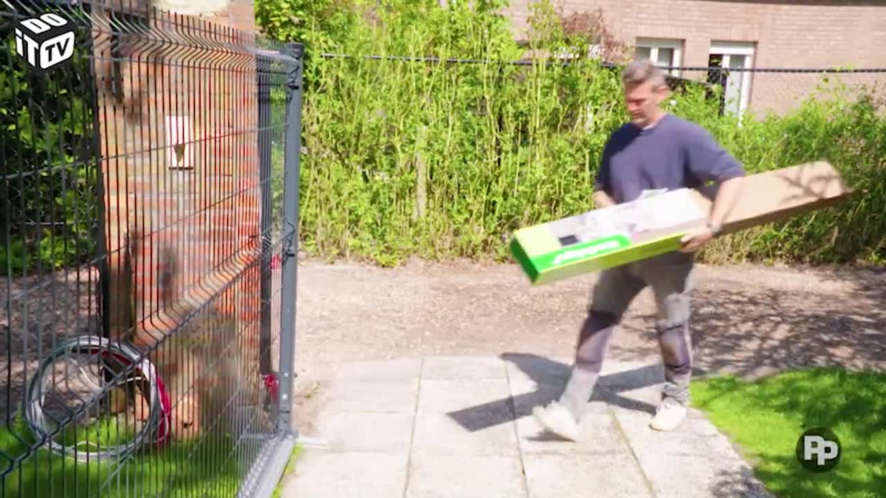 Comment assurer l'intimité dans votre jardin