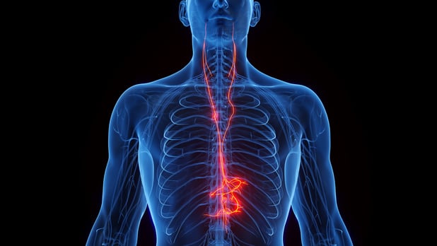 ACR 2024 - La stimulation vagale, une option intéressante dans la PR réfractaire, et dans l'arthrose?