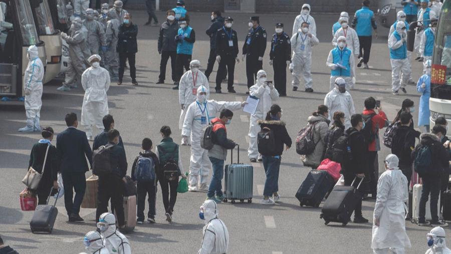 Comment l'environnement influence-t-il la dynamique de propagation des virus ?