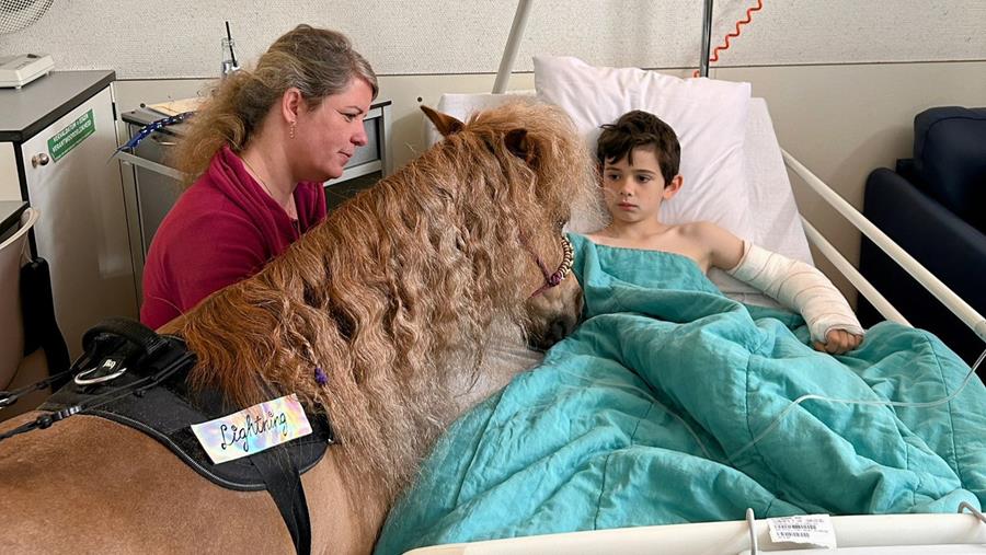 Les animaux en tant que partenaires de soins