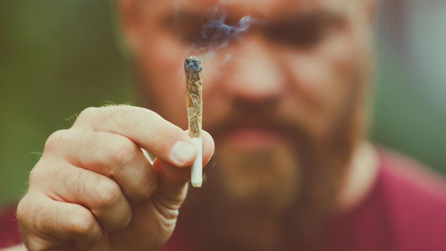 Psychose avec ou sans cannabis